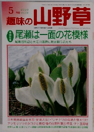 趣味の山野草　Vol. 238　2000年5月号
