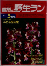 自然と野生ラン　1994年5月号