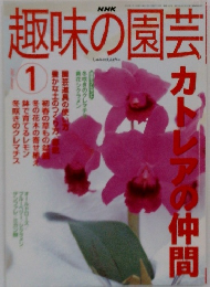 趣味の園芸　１９９９年1月号