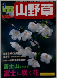 山野草　2002年1月号