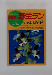 自然と野生ラン　1992年5月号