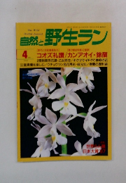 自然と野生ラン　1997年4月号