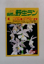 自然と野生ラン　1997年4月号