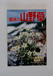 趣味の山野草　1　
