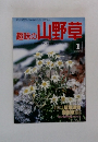 趣味の山野草　1　