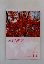 大白蓮華　2011 11