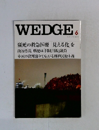 WEDGE　2010年6月号　