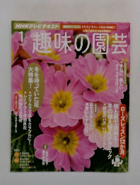 趣味の園芸　2013年1月号　
