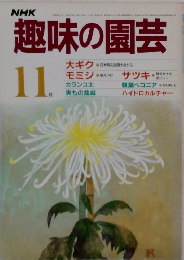 NHK趣味の園芸　11月号