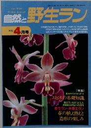 自然と野生ラン　1995年4月号