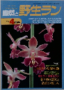 自然と野生ラン　1995年4月号
