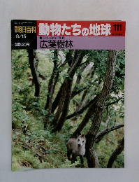 朝日百科動物たちの地球　111　　広葉樹林