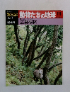 朝日百科動物たちの地球　111　　広葉樹林