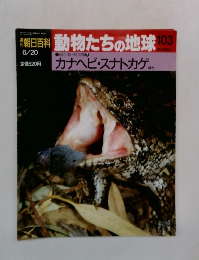 朝日百科動物たちの地球103　両生類・爬虫類7  カナヘビ・スナトカゲ ほか