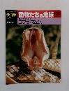 朝日百科　動物たちの地球　106