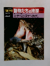 朝日百科動物たちの地球103　両生類・爬虫類7  カナヘビ・スナトカゲ ほか