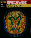 朝日百科　動物たちの地球96