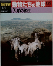朝日百科動物たちの地球　135　人類の誕生