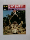 朝日百科 動物たちの地球 131　
