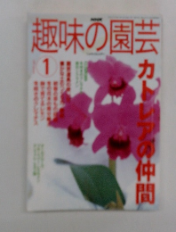 趣味の園芸　1月号