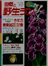 自然と野生ラン　8月号
