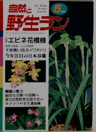 自然と野生ラン　5