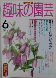 NHK趣味の園芸　1997年6月号