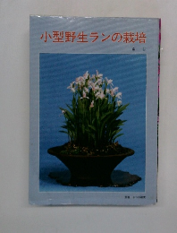 小型野生ランの栽培