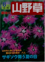 山野草 2002年8月