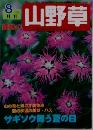山野草 2002年8月