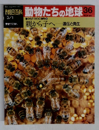 朝日百科 動物たちの地球 36　親から子へ