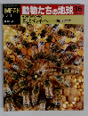 朝日百科 動物たちの地球 36　親から子へ