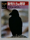 朝日百科動物たちの地球 34