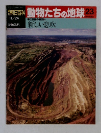 朝日百科　動物たちの地球　23