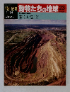 朝日百科　動物たちの地球　23