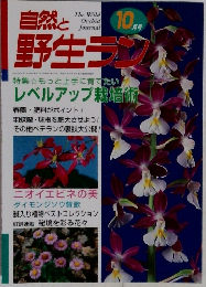 自然と野生ラン