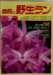 自然と野生ラン　1993年7月号　