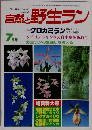 自然と野生ラン　7月号