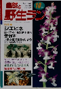 自然と野生ラン　10月号