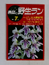 自然と野生ラン　1991年7月号