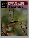 朝日百科動物たちの地球33　