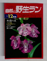 自然と野生ラン　1994年12月号　