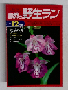 自然と野生ラン　1994年12月号　