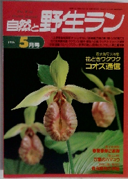 自然と野生ラン　1996年5月号
