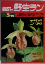 自然と野生ラン　1996年5月号