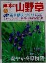 趣味の山野草　1999年6月号　Vol.227