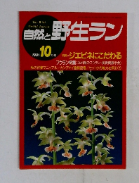 自然と野生ラン　1991年10月号　