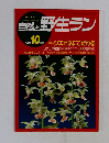 自然と野生ラン　1991年10月号　