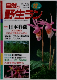 自然と野生ラン　12月号