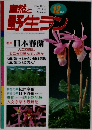 自然と野生ラン　12月号